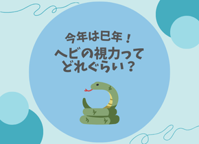 【今年は巳年！】ヘビの視力ってどれぐらい？